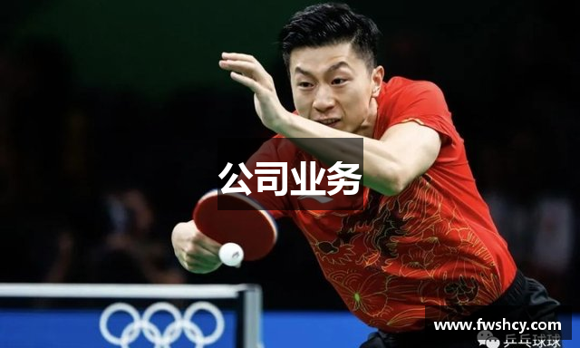 公司业务